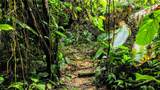  Waterfall Estate, Dos Bocas, Springs, Dominical - Photo 17