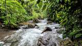  Waterfall Estate, Dos Bocas, Springs, Dominical - Photo 18