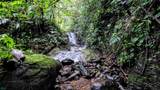  Waterfall Estate, Dos Bocas, Springs, Dominical - Photo 19