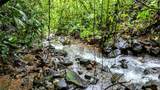  Waterfall Estate, Dos Bocas, Springs, Dominical - Photo 20