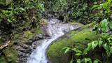  Waterfall Estate, Dos Bocas, Springs, Dominical - Photo 21