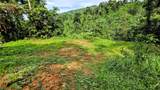  Waterfall Estate, Dos Bocas, Springs, Dominical - Photo 22