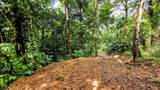  Waterfall Estate, Dos Bocas, Springs, Dominical - Photo 23