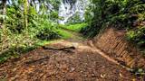  Waterfall Estate, Dos Bocas, Springs, Dominical - Photo 24