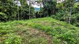 Waterfall Estate, Dos Bocas, Springs, Dominical - Photo 25