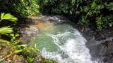  Waterfall Estate, Dos Bocas, Springs, Dominical - Photo 27