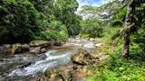  Waterfall Estate, Dos Bocas, Springs, Dominical - Photo 28