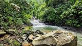  Waterfall Estate, Dos Bocas, Springs, Dominical - Photo 29