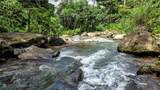  Waterfall Estate, Dos Bocas, Springs, Dominical - Photo 30