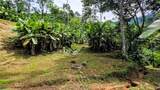  Waterfall Estate, Dos Bocas, Springs, Dominical - Photo 31