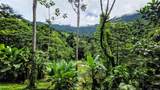  Waterfall Estate, Dos Bocas, Springs, Dominical - Photo 32
