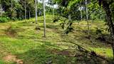  Waterfall Estate, Dos Bocas, Springs, Dominical - Photo 33