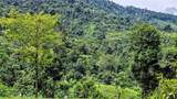  Waterfall Estate, Dos Bocas, Springs, Dominical - Photo 34