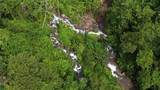  Waterfall Estate, Dos Bocas, Springs, Dominical - Photo 36