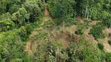  Waterfall Estate, Dos Bocas, Springs, Dominical - Photo 38