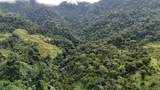  Waterfall Estate, Dos Bocas, Springs, Dominical - Photo 39