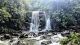  Waterfall Estate, Dos Bocas, Springs, Dominical - Photo 4