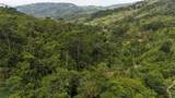  Waterfall Estate, Dos Bocas, Springs, Dominical - Photo 40