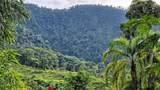  Waterfall Estate, Dos Bocas, Springs, Dominical - Photo 41