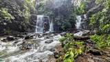  Waterfall Estate, Dos Bocas, Springs, Dominical - Photo 5