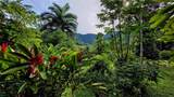 Waterfall Estate, Dos Bocas, Springs, Dominical - Photo 6
