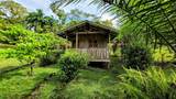 Waterfall Estate, Dos Bocas, Springs, Dominical - Photo 7