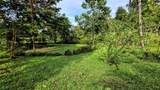  Waterfall Estate, Dos Bocas, Springs, Dominical - Photo 8