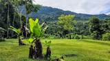  Waterfall Estate, Dos Bocas, Springs, Dominical - Photo 9