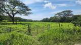  Riverside, Mountain View, 10 Hectares, Finca Anita - Photo 10