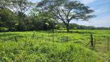 Riverside, Mountain View, 10 Hectares, Finca Anita - Photo 11