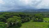  Riverside, Mountain View, 10 Hectares, Finca Anita - Photo 14