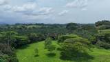  Riverside, Mountain View, 10 Hectares, Finca Anita - Photo 15