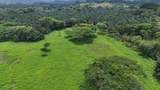  Riverside, Mountain View, 10 Hectares, Finca Anita - Photo 6