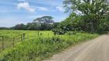  Riverside, Mountain View, 10 Hectares, Finca Anita - Photo 8