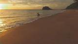  Punta Sabana And Mar Serena - Photo 11