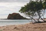  Punta Sabana And Mar Serena - Photo 17