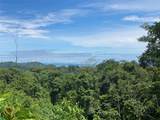  Exquisite Jungle Property With Ocean View, Ojochal - Photo 1
