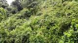  Exquisite Jungle Property With Ocean View, Ojochal - Photo 3