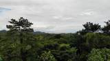  Exquisite Jungle Property With Ocean View, Ojochal - Photo 4