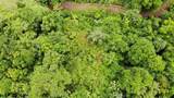  Exquisite Jungle Property With Ocean View, Ojochal - Photo 5