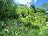  Exquisite Jungle Property With Ocean View, Ojochal - Photo 9