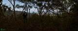 Finca Gomez Naranjalito - Photo 18