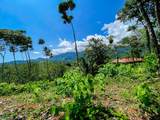  Ojochal, Calle Quetzal - Photo 40