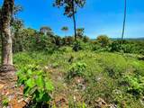  Ojochal, Calle Quetzal - Photo 42
