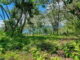  Ojochal, Calle Quetzal - Photo 48