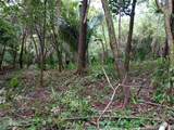 Ruta del Sol Two Titled Lots For Sale in Playa Marbella - Photo 5