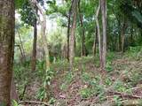 Ruta del Sol Two Titled Lots For Sale in Playa Marbella - Photo 6