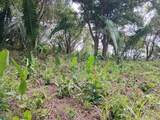 Ruta del Sol Two Titled Lots For Sale in Playa Marbella - Photo 8