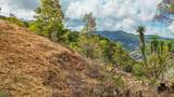  Uvita, San Josecito Road - Photo 14
