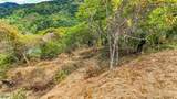  Uvita, San Josecito Road - Photo 19